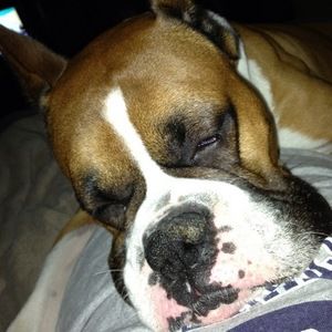 Meet your Posher, Wendy